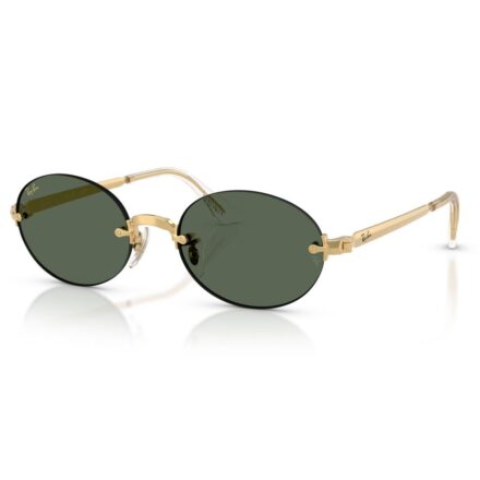 RAY-BAN ASAP Rocky 3929 Unisex Γυαλιά Ηλίου